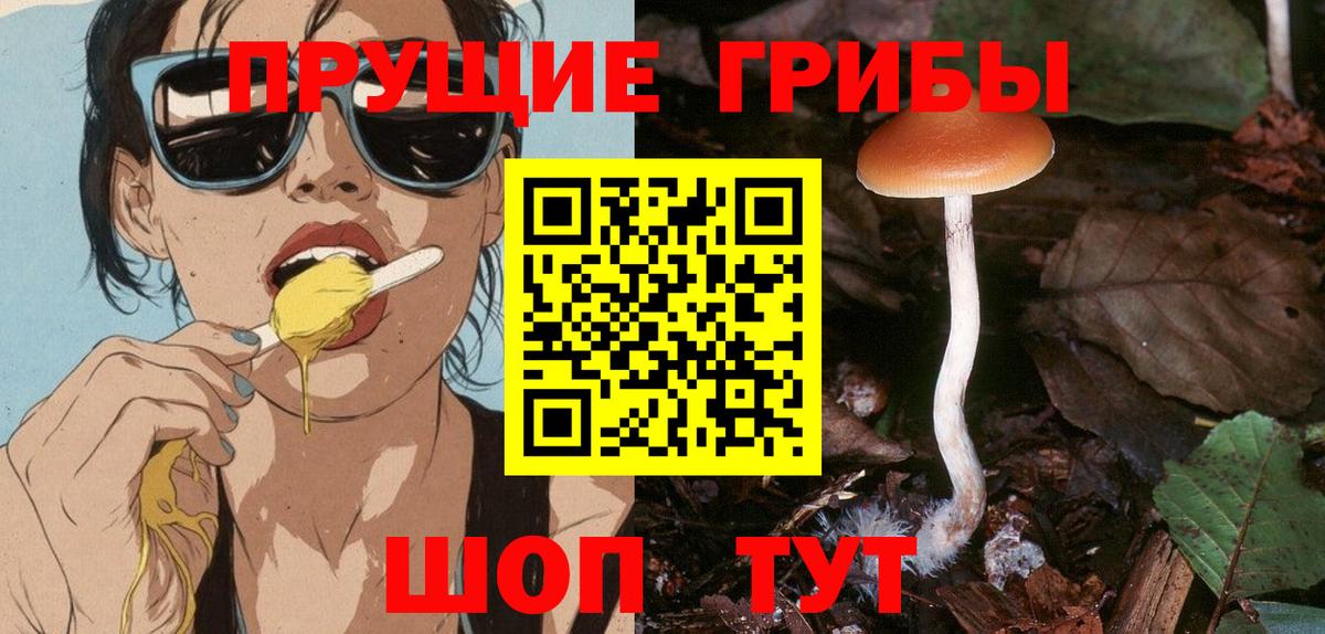 Галлюциногенные грибы ЛСД Кировск